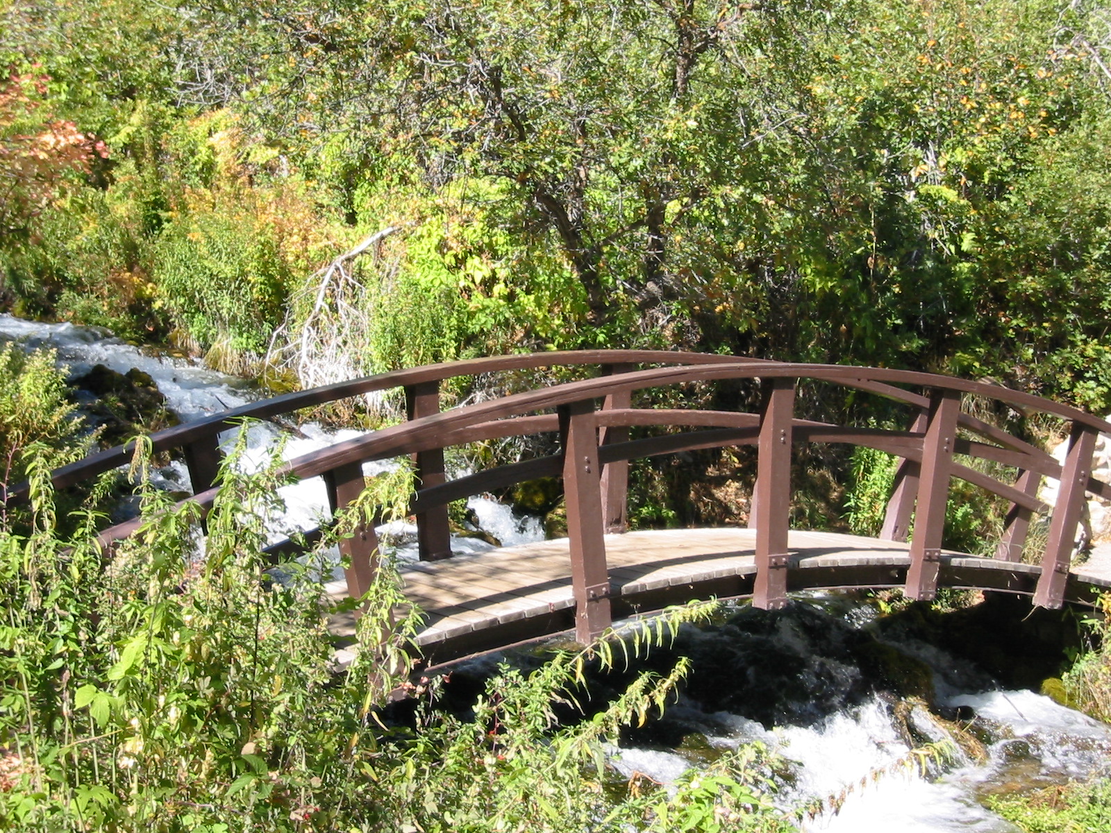 Cascade Springs Bridge